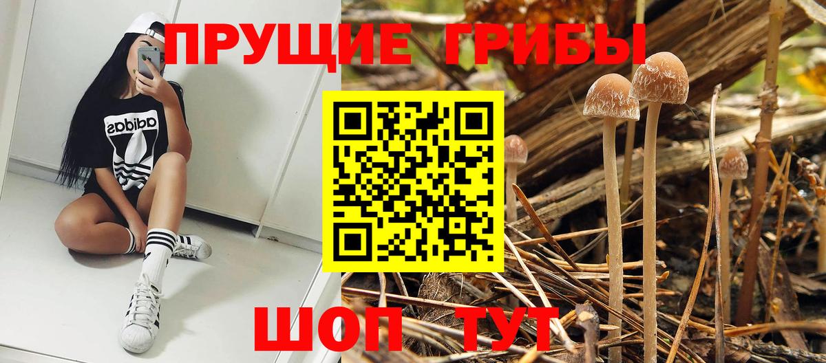 Псилоцибиновые грибы прущие грибы Орёл
