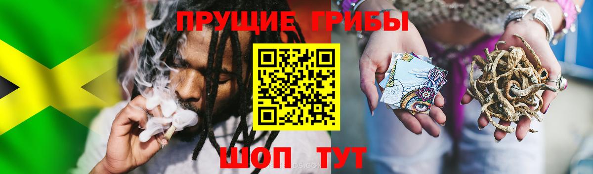 Орёл  Псилоцибиновые грибы прущие грибы  Вход с VPN  Галлюциногенные грибы Magic Shrooms 