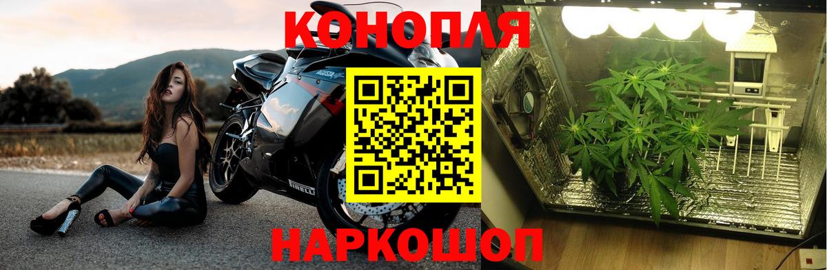 Конопля OG Kush  Бошки Шишки White Widow  МАРИХУАНА марихуана  Каннабис сатива  Орёл  Вход с VPN 